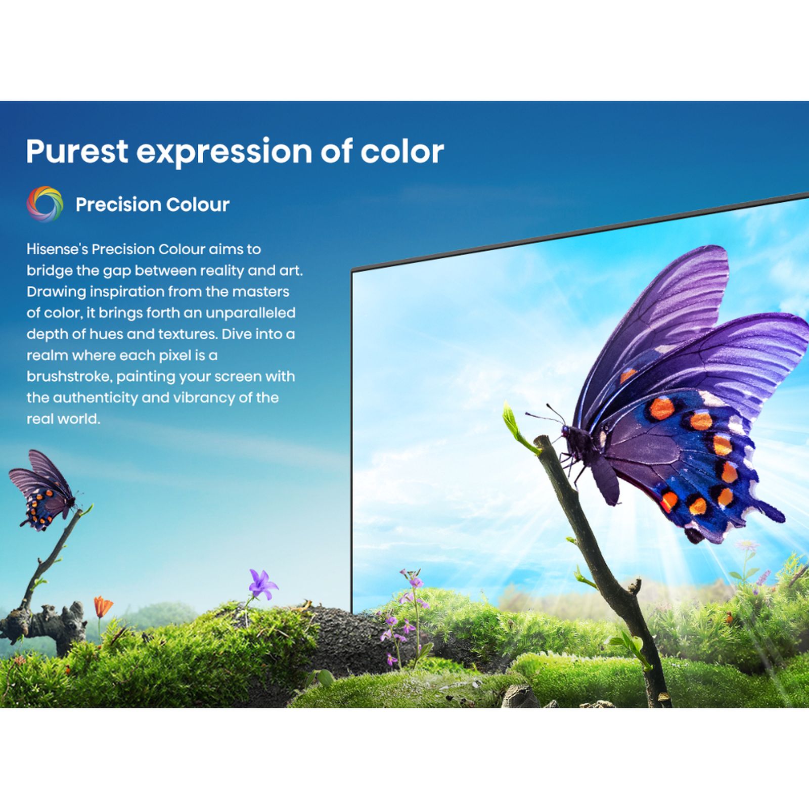 Buy Hisense A65N 109 cm (43 inch) LED 4K Ultra HD Google TV with
